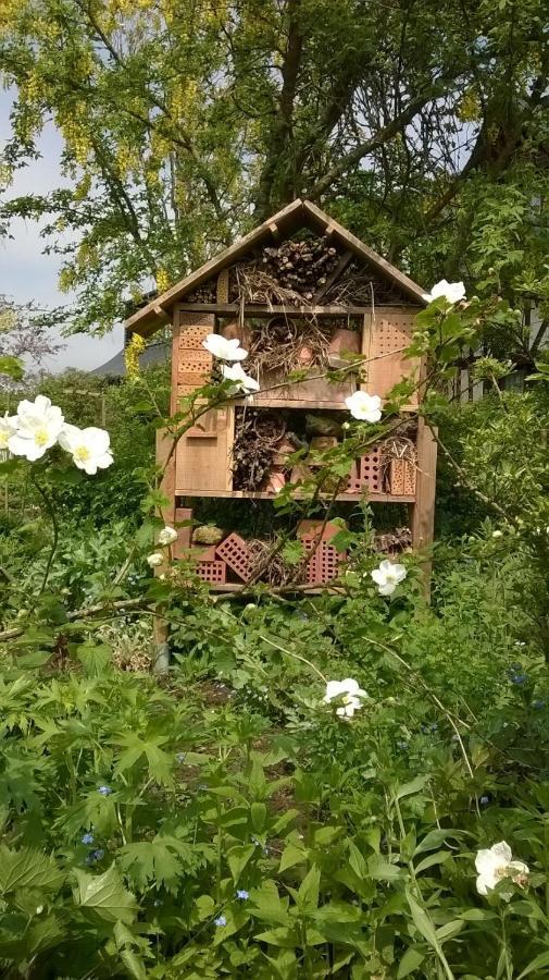La Parenthese Bed & Breakfast Hautot-l'Auvray ภายนอก รูปภาพ